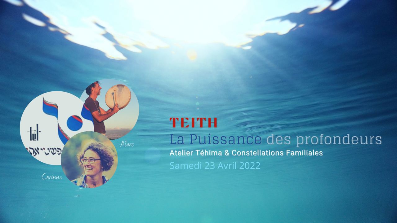 Atelier constellations familiales et Tehima
