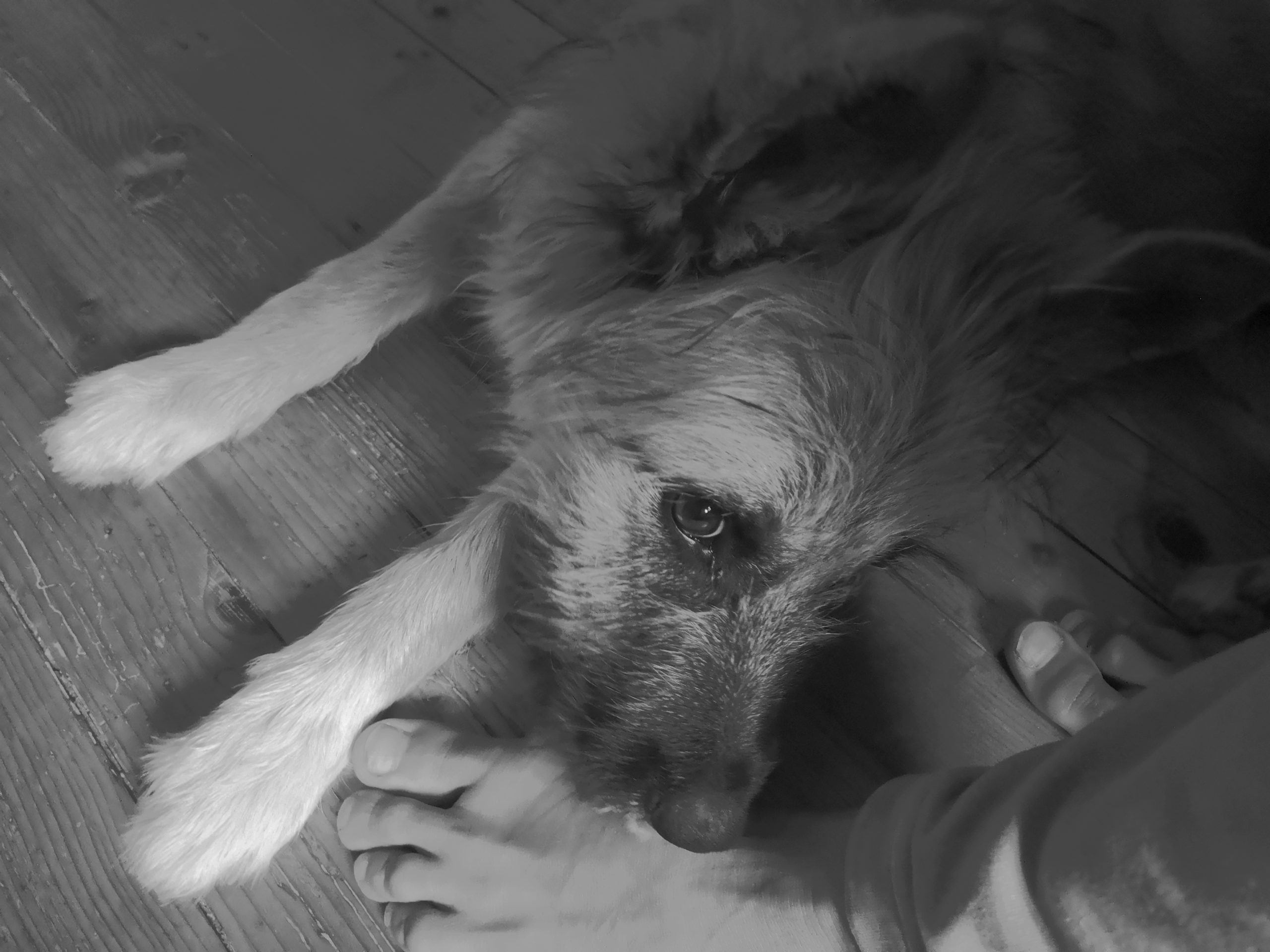 QUE VEUX-TU VRAIMENT ? - Justes Relations